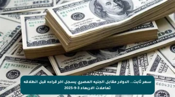 سعر ثابت.. الدولار مقابل الجنيه المصري يسجل آخر قراءة قبل انطلاقة تعاملات الأربعاء 3-9-2025